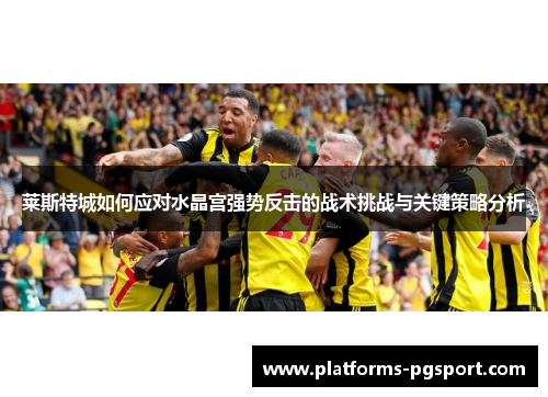 莱斯特城如何应对水晶宫强势反击的战术挑战与关键策略分析