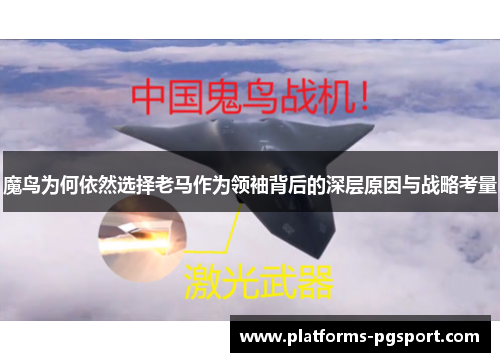 魔鸟为何依然选择老马作为领袖背后的深层原因与战略考量