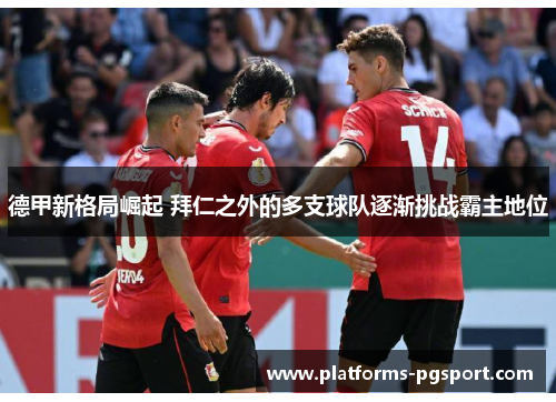德甲新格局崛起 拜仁之外的多支球队逐渐挑战霸主地位